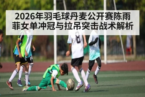 2026年羽毛球丹麦公开赛陈雨菲女单冲冠与拉吊突击战术解析